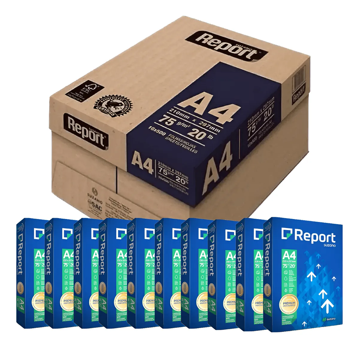 PAPEL SULFITE CX C / 10 RESMAS